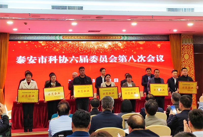图片9